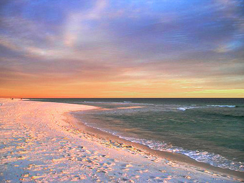 Life's a Beach