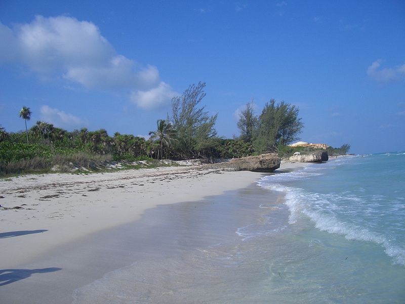 Life's a Beach
